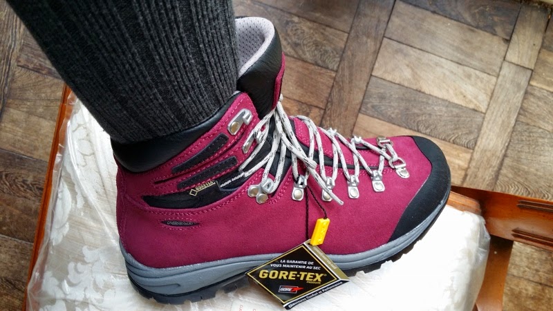 Asolo tribe 2025 hiking boots